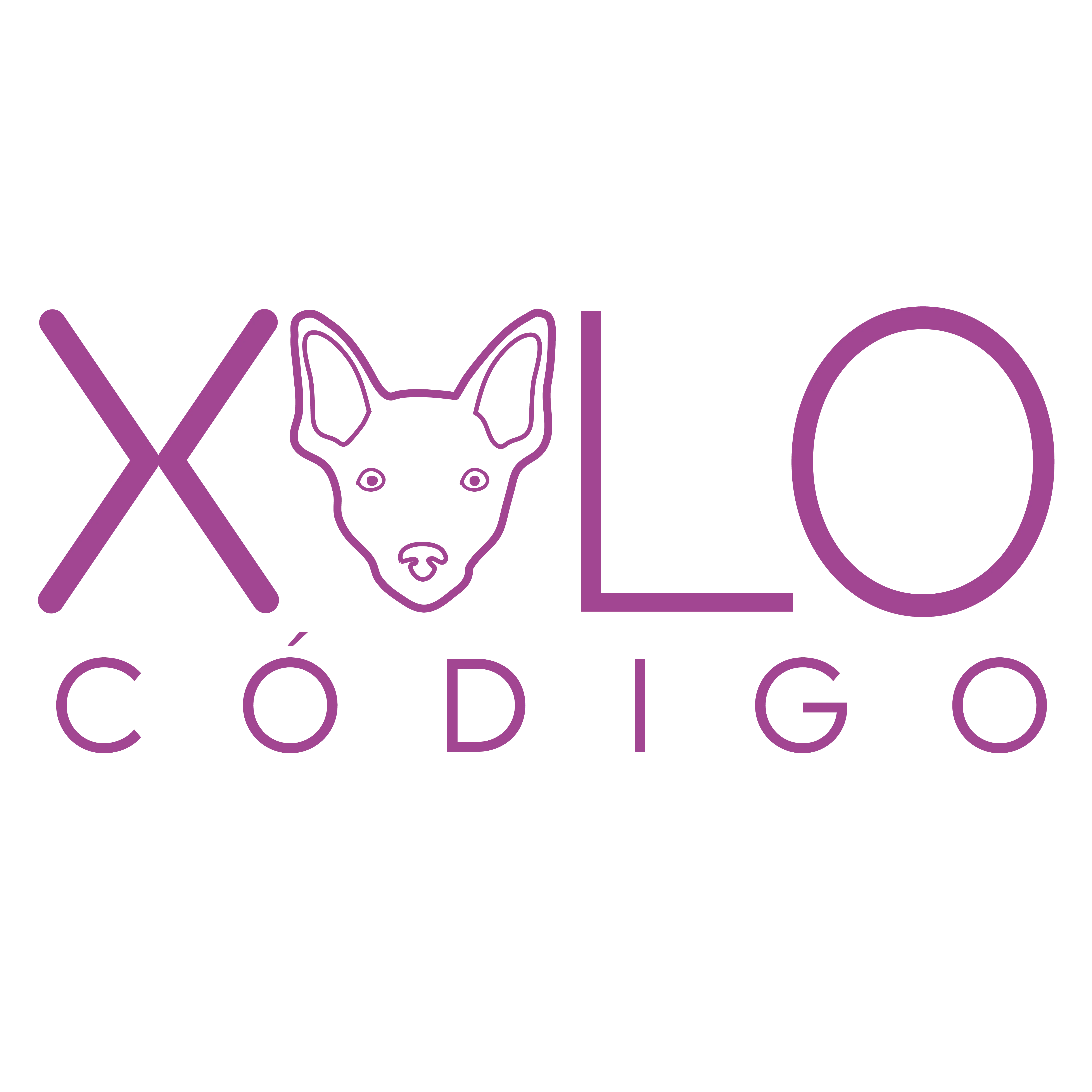 logotipo principal de xolocodigo